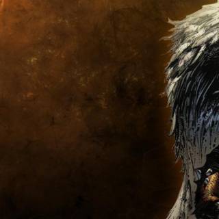 Angel of Darkness HD wallpaper