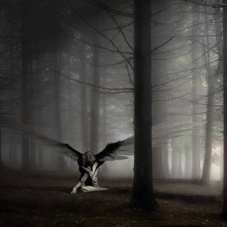 Angel of Darkness HD wallpaper