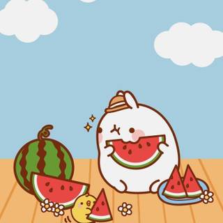 Molang summer wallpaper