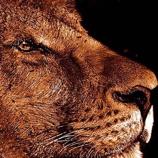 1080x2340 grunge wallpaper