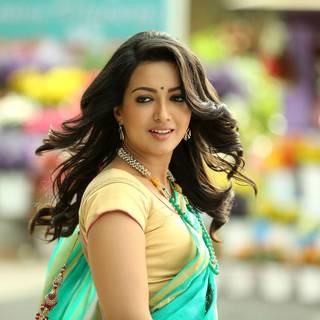 Sarrainodu wallpaper