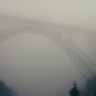 Bridge night fog trees wallpaper