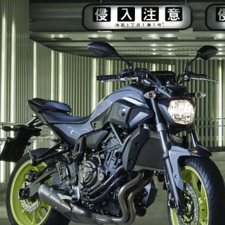 Yamaha Mt 15 mobile wallpaper