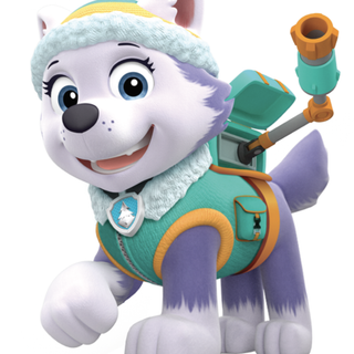 Paw Patrol Everest wallpaper