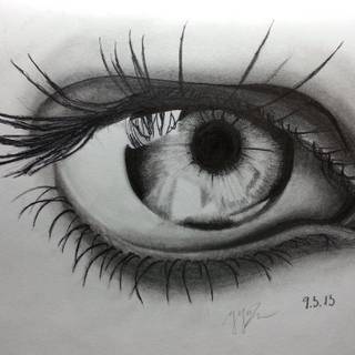 Pencil sketch wallpaper