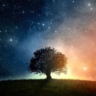 Lurking Class computer wallpaper