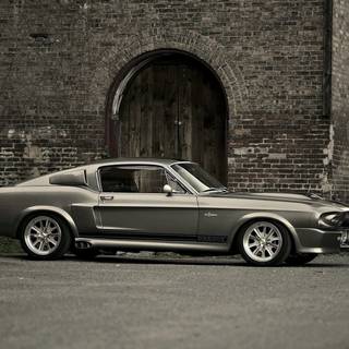 Ford Mustang Shelby GT500 HD wallpaper