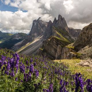 Furchetta peak wallpaper