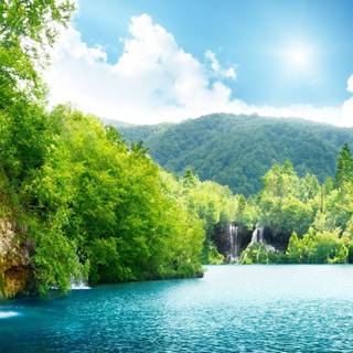 Nature wallpaper full HD