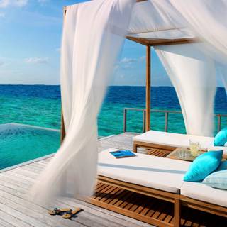 Tropical relax wallpaper