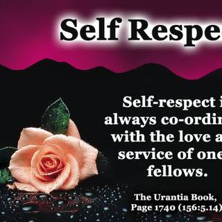 Respect a women wallpaper