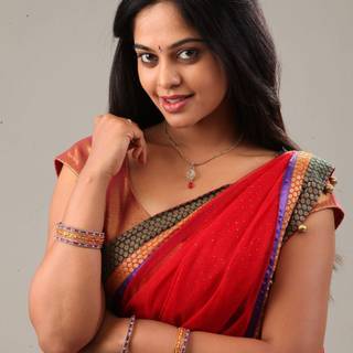 Bindu Madhavi wallpaper