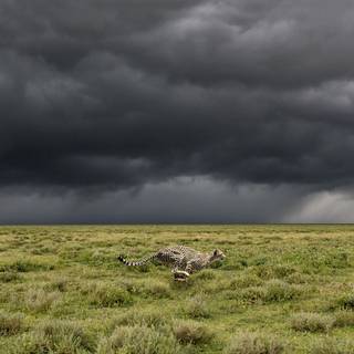 Resolution wallpaper