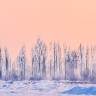Pink aesthetic landscape wallpaper