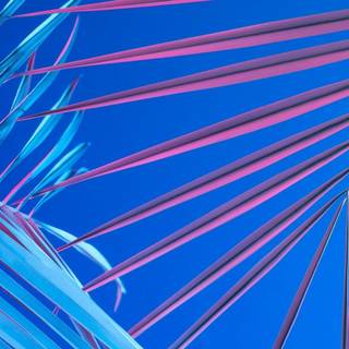 Aesthetic for desktop wallpaper