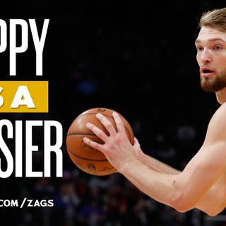 Domantas Sabonis wallpaper