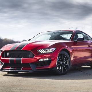 Desktop car Mustang Cobra wallpaper