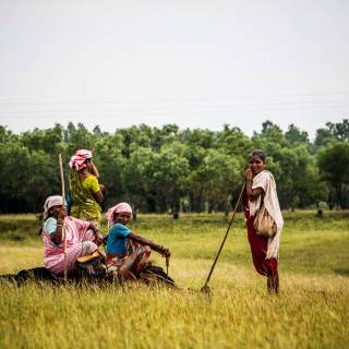 Indian village wallpaper