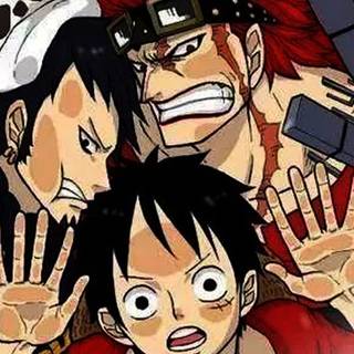 Eustass Kid wallpaper