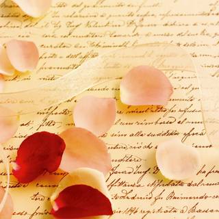 Letter and roses wallpaper