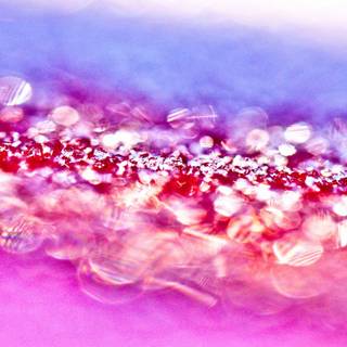 Pink diamond wallpaper