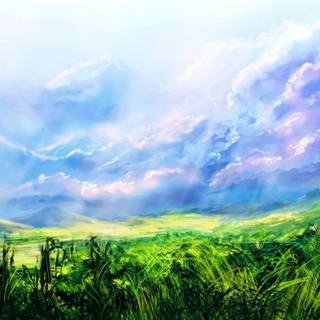 Field sky grass wallpaper