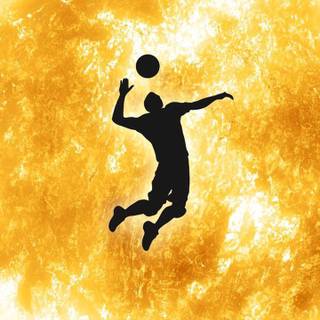 Volleyball HD mobile wallpaper