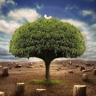 Garden Eden wallpaper