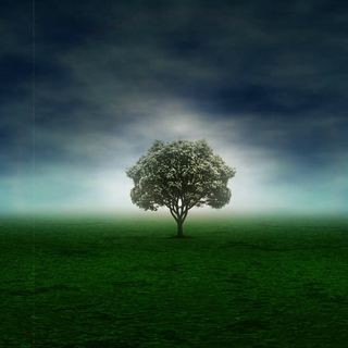 Garden Eden wallpaper