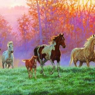 Horse and foal wallpaper