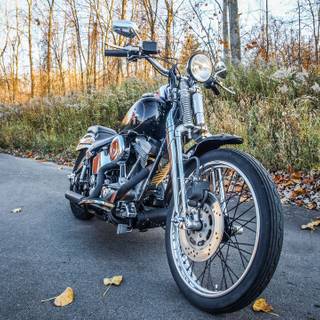 Heritage Softail Springer wallpaper