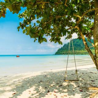 Swing on the beach wallpaper