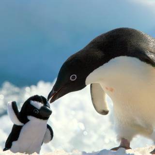 Mother's love wallpaper