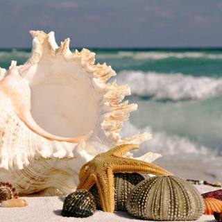 Nature HD PC desktop wallpaper