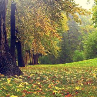 Nature HD PC desktop wallpaper