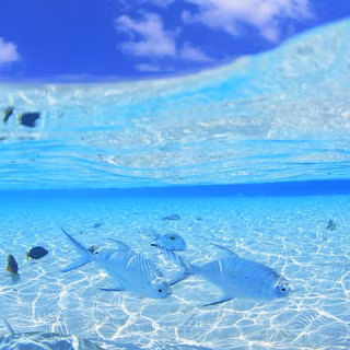 Aesthetic sea wallpaper