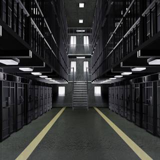 Women's prison wallpaper