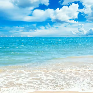 Summer 2020 wallpaper