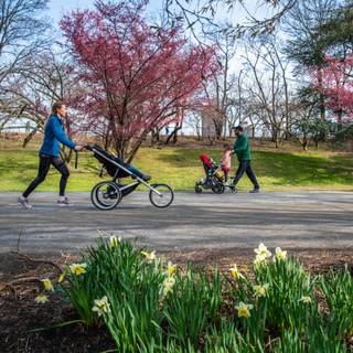 Fresh air outdoor wallpaper