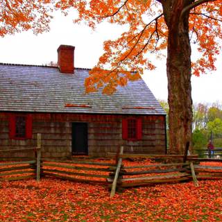 Old mill cottage wallpaper