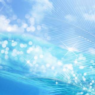 Blue beauty wallpaper