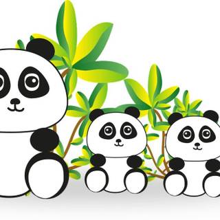Panda Family wallpaper