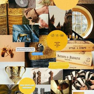 Cedric Diggory wallpaper