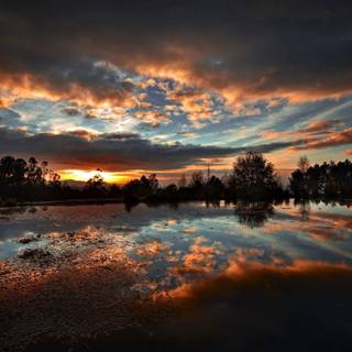 Sunset tree lake wallpaper