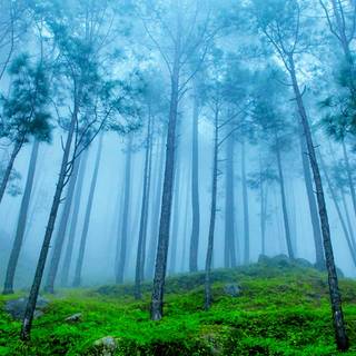 Uttarakhand wallpaper