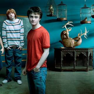 Harry Potter movies wallpaper
