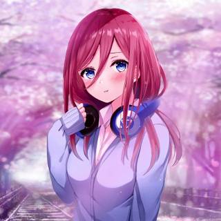 The Quintessential Quintuplets desktop wallpaper