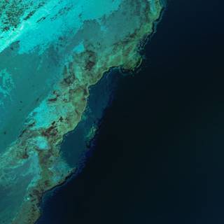 Google Pixel 4 XL wallpaper