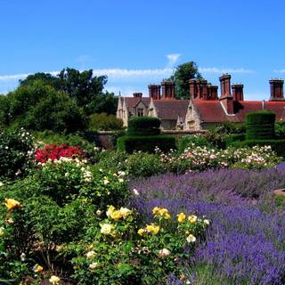 Summer England wallpaper