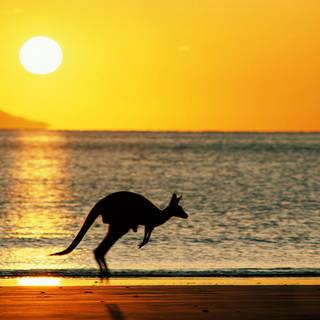 Australia sunset wallpaper